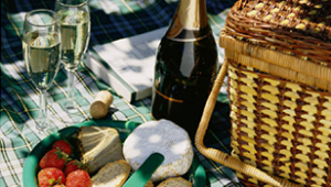 champagne glasses picnic basket blanket lunch outdoor