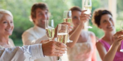 Wedding Guests Doing a Toast | Wedding Toast